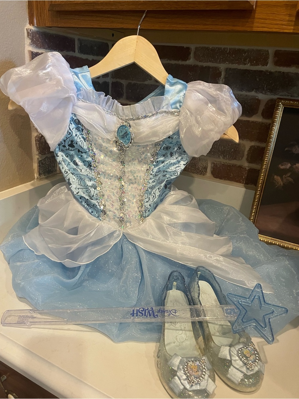 Cinderella Blue Princess Ball Gown Costume with Accessories